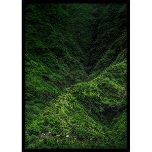 Obraz Jungle 50x70 cm zelený