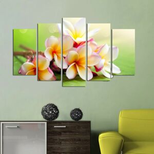 Vícedílný obraz Flower And Green 110x60 cm