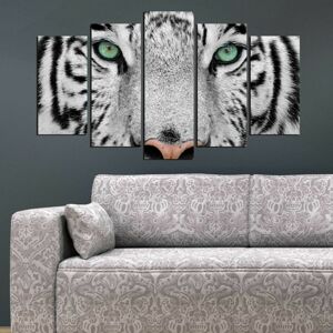 Vícedílný obraz Snow Tiger 110x60 cm