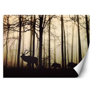 Vliesová fototapeta Forest mistery