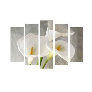 Vícedílný obraz Flowero 105x70 cm šedá/bílá