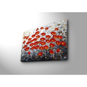 Obraz Poppy 45x70 cm červený