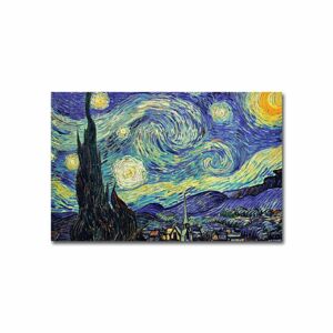 Reprodukce obrazu Vincent van Gogh 013 45 x 70 cm