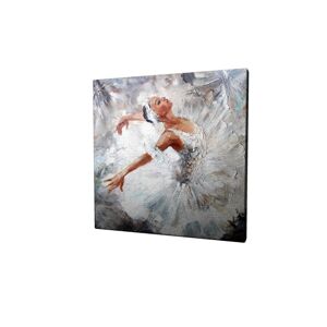 Obraz na plátně White swan KC012 45x45 cm