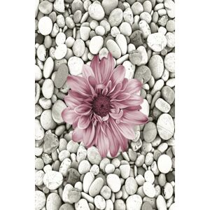Koberec Bloom 60x100 cm šedý/růžový