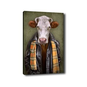Obraz na plátně Cow portrait 50x70 cm