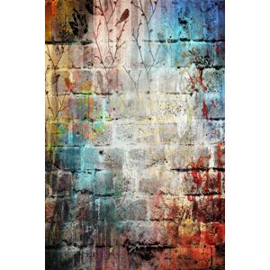 Koberec Crazy Wall 80x150 cm vícebarevný