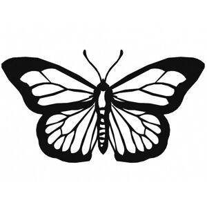 Nástěnná dekorace Motýl I černá