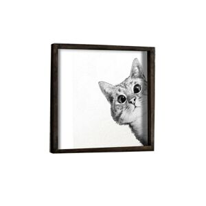 Nástěnný obraz Cat 33x33 cm černobílý