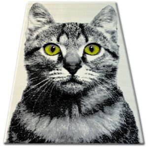 Kusový koberec BCF FLASH 33319/160 - mačka